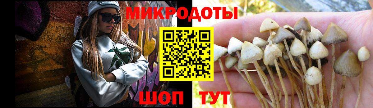 Псилоцибиновые грибы Cubensis  Вход с VPN  Северобайкальск 