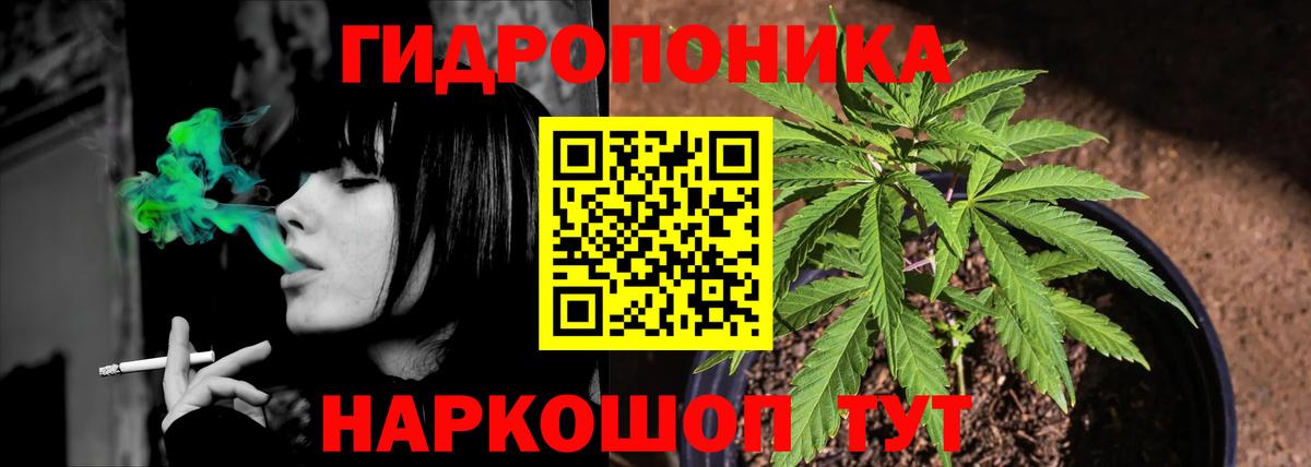 Бошки марихуана тримм  Конопля конопля  Вход с VPN  Конопля сатива  Бошки Шишки VHQ  Северобайкальск 